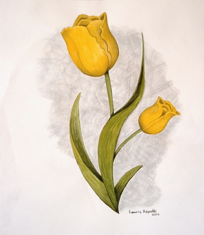 Floral Series, Tulip