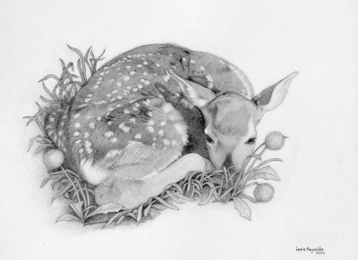 Just a Little Dandelion